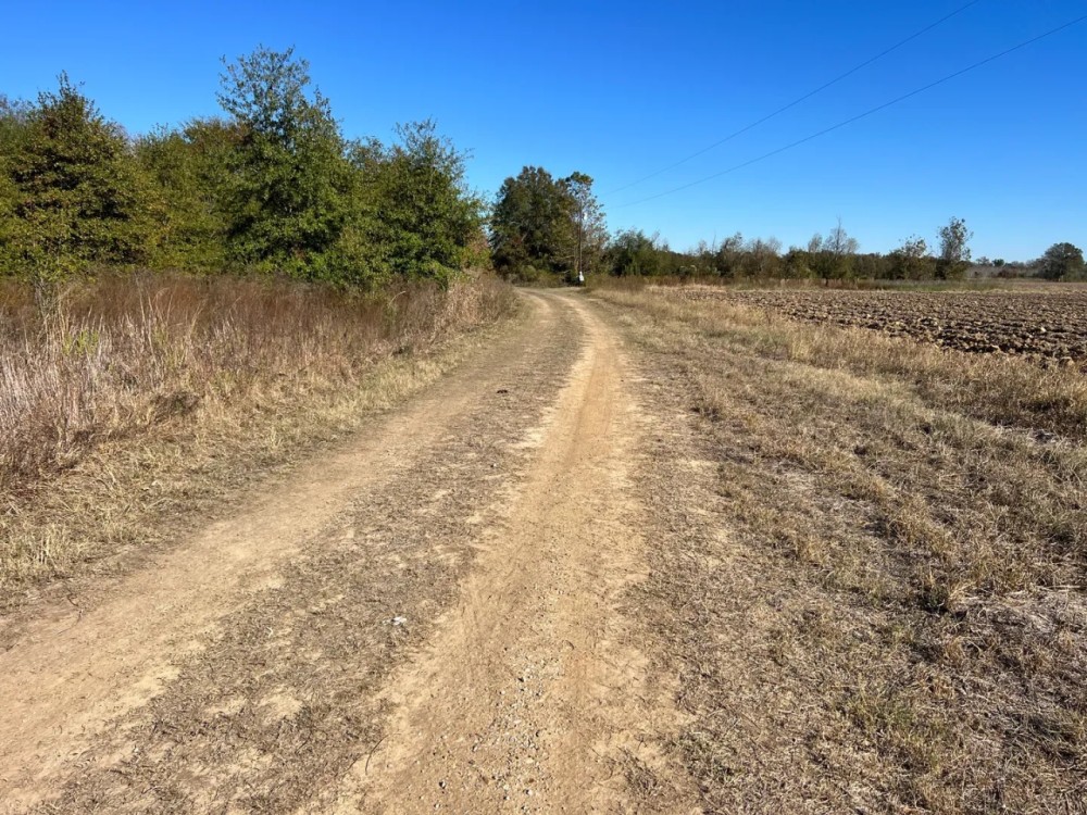 LA - Richland 43 acres - featured image