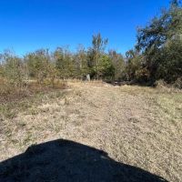 LA - Richland 43 acres - images 2