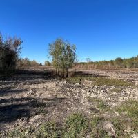 LA - Richland 43 acres - images 5