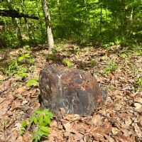 90 Acres in Yazoo County MS images 5