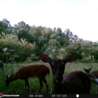 38 E 1090 Road Checotah OK 74426