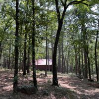 Acreage For Sale in Daisy Oklahoma
