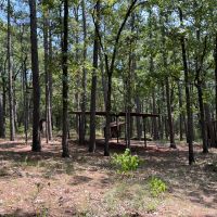 Acreage For Sale in Daisy Oklahoma images 2