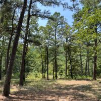 Acreage For Sale in Daisy Oklahoma images 3
