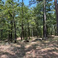Acreage For Sale in Daisy Oklahoma images 4