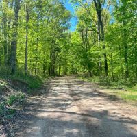 90 Acres in Holmes County MS