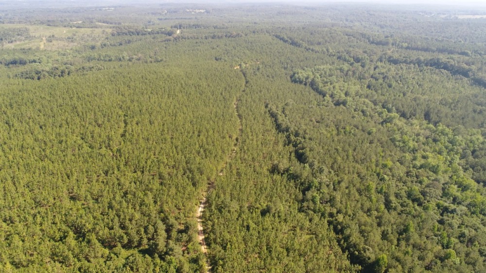 153 - acres Crenshaw Co featured image