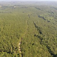 153 - acres Crenshaw Co