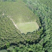153 - acres Crenshaw Co images 2
