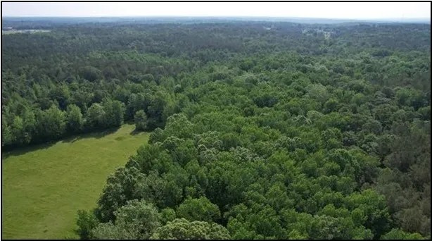 344.3 Acres in Lafayette County in Oxford MS featured image
