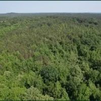 344.3 Acres in Lafayette County in Oxford MS images 5