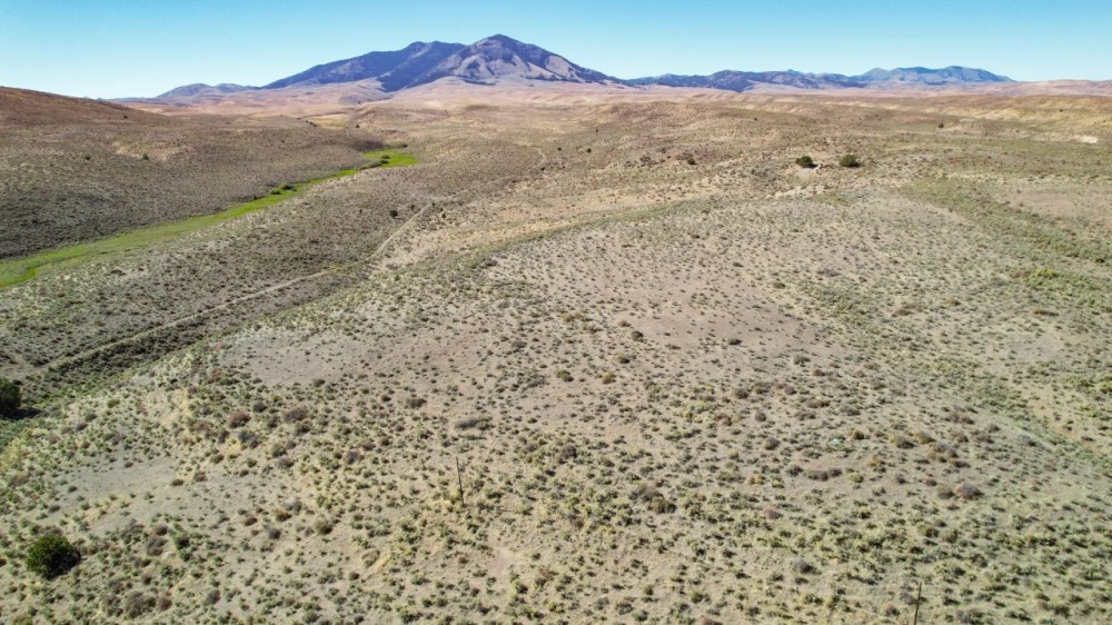 Rose Creek West featured image