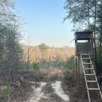 80 acres - near Marion AL