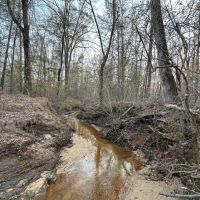 80 acres - near Marion AL images 2