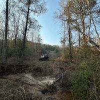 80 acres - near Marion AL images 3