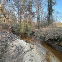 80 acres - near Marion AL images 4