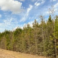 26 Acres T-7 FM 1746 images 3