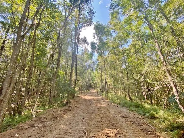 110 Acres Magee s Creek featured image