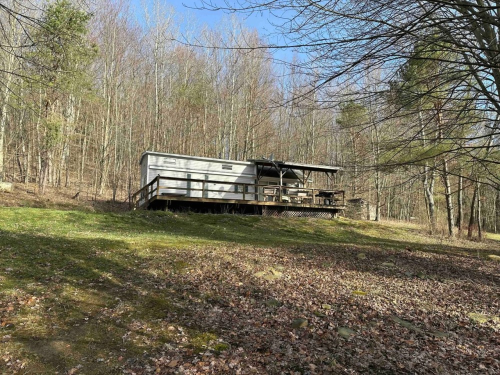 8 acres Secluded Wooded Lot with Park Model Trailer in Cohocton NY 4093 Dorman Road featured image