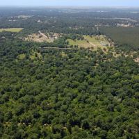 26091 Pine Shadows Drive images 3