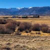 The Kuiper Ranch