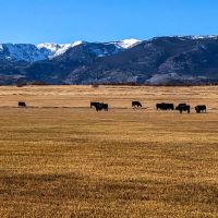 The Kuiper Ranch images 2