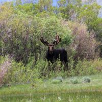 The Kuiper Ranch images 4