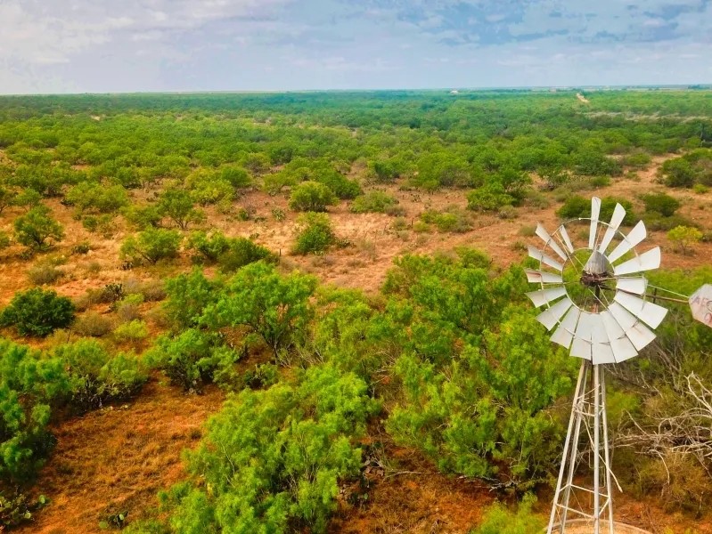 Carrizo Verde Ranch - Carrizo Springs TX featured image