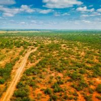 Carrizo Verde Ranch - Carrizo Springs TX images 3