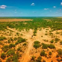 Carrizo Verde Ranch - Carrizo Springs TX images 4