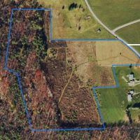 29 acres Recreational Land with Building Sites in Corning NY 1655 Riff Road images 3