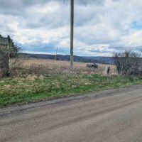 29 acres Recreational Land with Building Sites in Corning NY 1655 Riff Road images 4