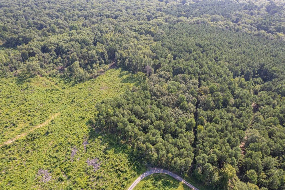 Boggy Creek - 17 Acres featured image