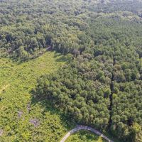 Boggy Creek - 17 Acres