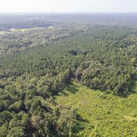 Boggy Creek - 17 Acres images 4