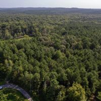 Boggy Creek - 17 Acres images 5