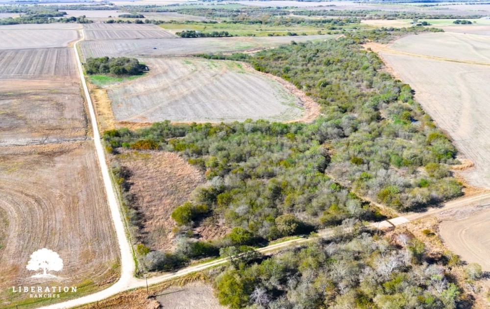 Itasca Tract 2 11 Acres Only 15K Down featured image