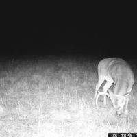106 Acres in Attala County in Sallis MS images 2