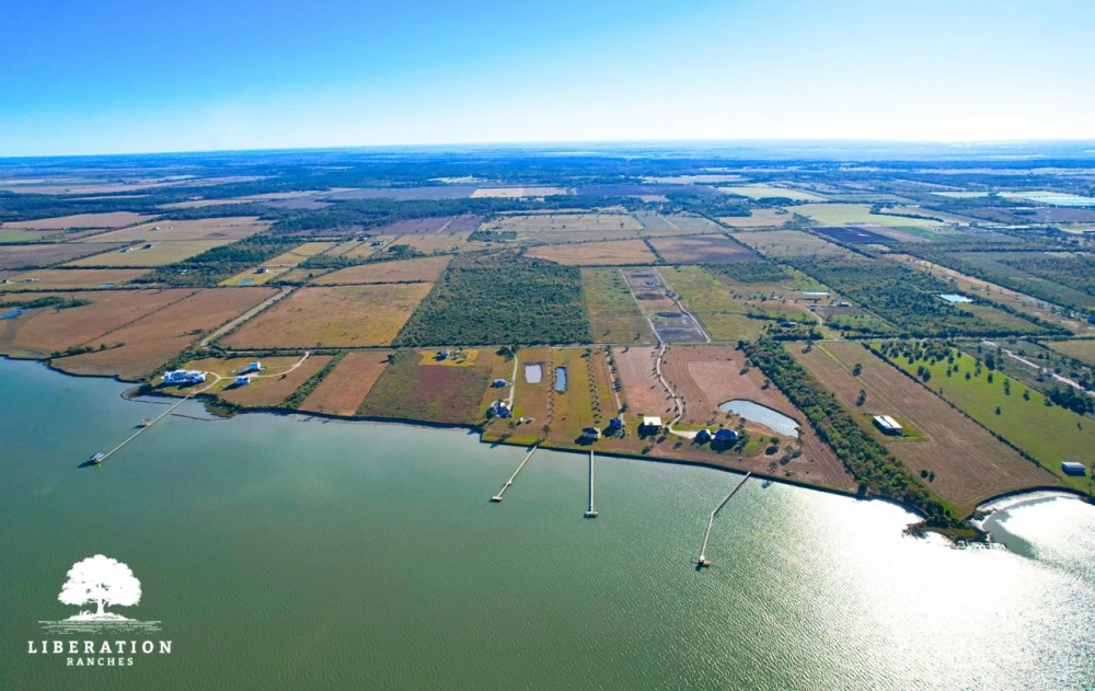 Anahuac Tract 9 12 Acres Only 15K Down featured image