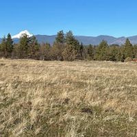 Tri-Mountain View Ranch images 1