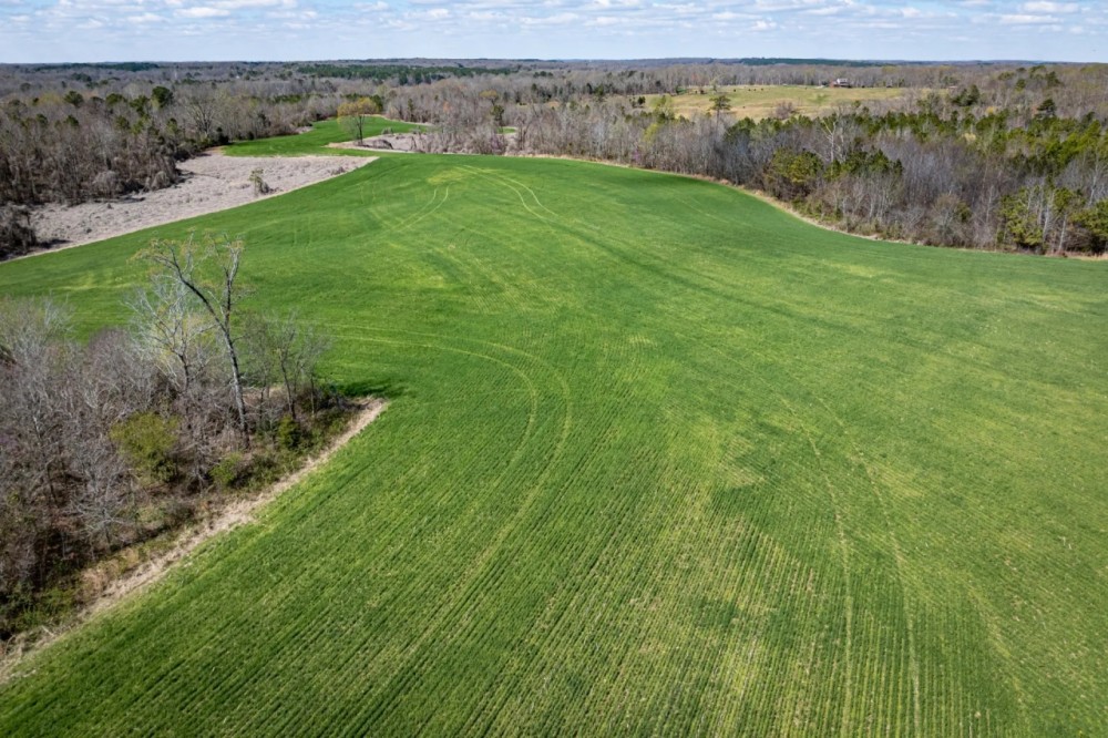 74.4 acres Hollow Rock TN featured image