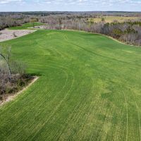 74.4 acres Hollow Rock TN