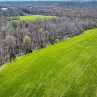 74.4 acres Hollow Rock TN images 3
