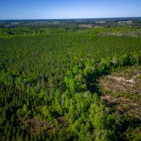 Heaven on Big Satilla Creek images 4