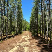 Heaven on Big Satilla Creek images 5