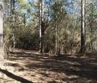 46 Acres in Copiah County in Wesson MS images 2