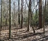 46 Acres in Copiah County in Wesson MS images 3