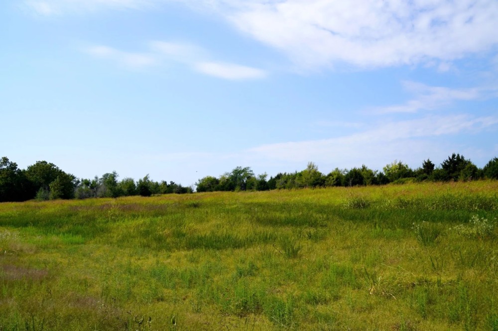 40 Acres of Hunting Land in Stroud Oklahoma featured image
