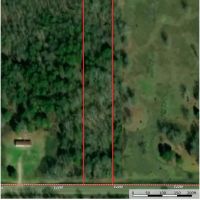 Wildlife 1.5 Acres images 3