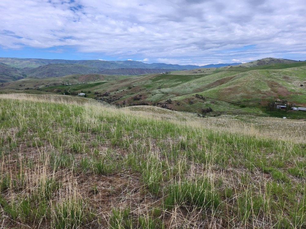 Timber Butte Ranch featured image